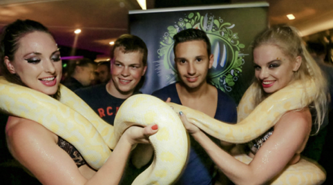 Slangendans voor een bedrijsfeest